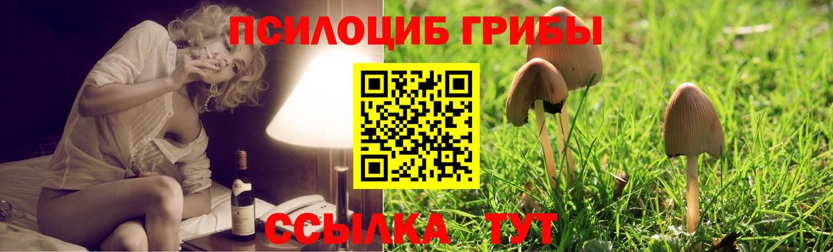 где продают   Галлюциногенные грибы прущие грибы  Вход с VPN  Тула 