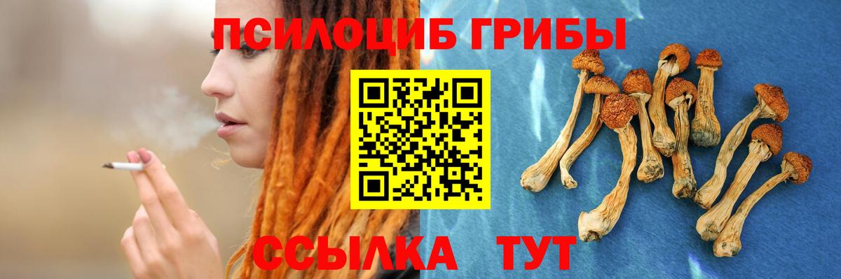 Галлюциногенные грибы мухоморы Тула